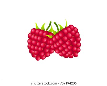 Raspberry Fruits - Cartoon Vector Image