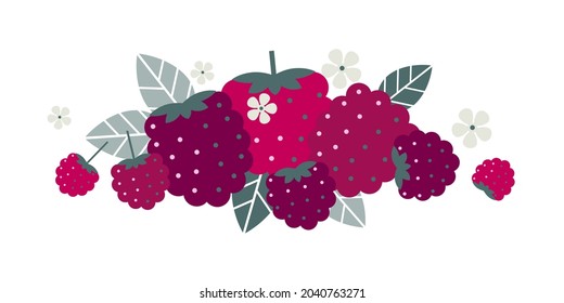 Raspberry fruits. Flat illustration. Ripe berries, leaves and flowers.