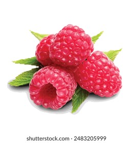 raspberry fruits, Red raspberry Fruit Black Raspberry Raspberry ketone, rasberry, natural Foods, frutti Di Bosco, food