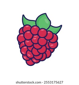 Raspberry Fruits simple cartoon minimalist isolated white background.