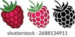Raspberry Fruits Vector Icons Set on White Background – Simple Outline, Solid, and Flat Style Berries Illustration, Sweet Ripe Pink Fruit Symbol Collection.