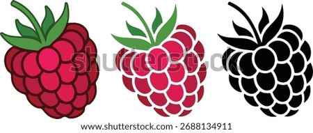 Raspberry Fruits Vector Icons Set on White Background – Simple Outline, Solid, and Flat Style Berries Illustration, Sweet Ripe Pink Fruit Symbol Collection.