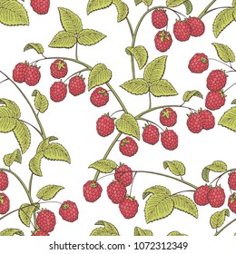 Raspberry graphic red green color seamless pattern sketch illustration vector