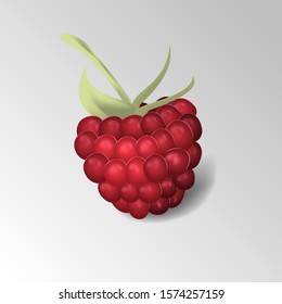 Raspberry, great design for any purposes. Vegan food diet icon. Raspberry vector icon illustration. Isolated object