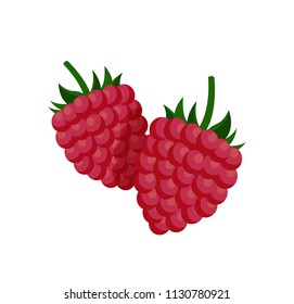 Raspberry with green fruit-stalk poster. Two appetizing and sweet small berries. Summer fruits icon flat vector cartoon design illustration on white