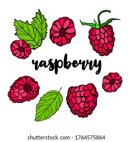 Raspberry hand drawn doodle set