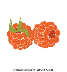 Raspberry, hand drawn. Isolated. Vector illustration of a doodle.