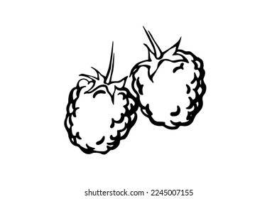 Raspberry hand drawn outline doodle monochrome vector illustration