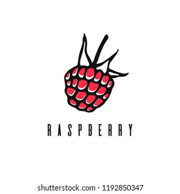 Raspberry. Hand drawn vector linear icon.