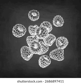 Framboesa cheia. Esboço de giz no fundo do quadro. Ilustração de vetor desenhada à mão. Estilo vintage.