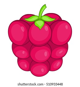 Raspberry icon. Cartoon illustration of raspberry vector icon for web