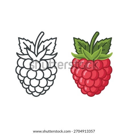 Raspberry icon in color and line versions isolated on