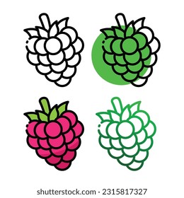 Raspberry icon design in four variation color