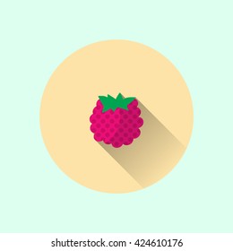 raspberry icon. raspberry flat. raspberry vector