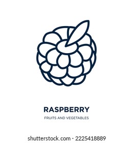 raspberry icon from fruits and vegetables collection. Thin linear raspberry, fruit, nature outline icon isolated on white background. Line vector raspberry sign, symbol for web and mobile