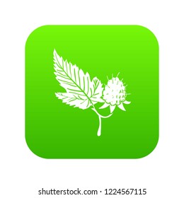 Raspberry icon green vector isolated on white background