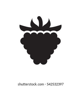 raspberry icon illustration isolated vector sign symbol