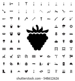 raspberry icon illustration isolated vector sign symbol