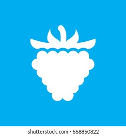 raspberry icon illustration isolated vector sign symbol