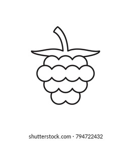 raspberry icon illustration isolated vector sign symbol