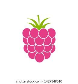 Raspberry icon isolated on white background. Vector illustration.