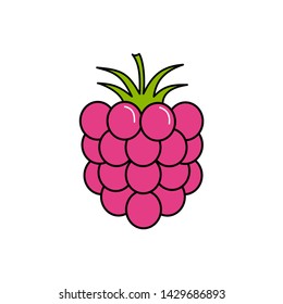 Raspberry icon isolated on white background. Vector illustration.