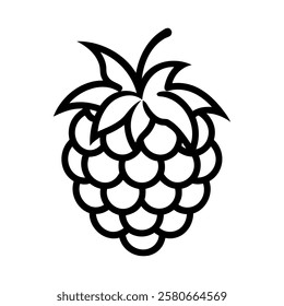 Raspberry icon. Minimalist line drawing of a ripe raspberry. Vector illustration