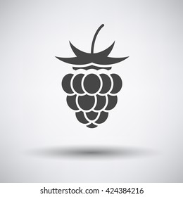 Raspberry icon on gray background with shadow. Vector illustration.
