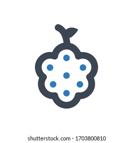 Raspberry Icon on white background