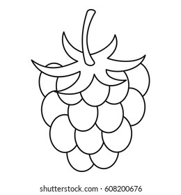 Raspberry icon. Outline illustration of raspberry vector icon for web