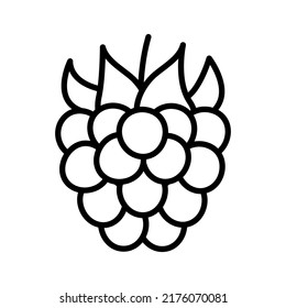 Raspberry icon. Pictogram isolated on a white background. Vector illustration.