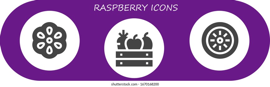 raspberry icon set. 3 filled raspberry icons.  Simple modern icons such as: Berry, Fruit, Kiwi