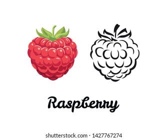Raspberry icon set isolated on white background. Color illustration of red ripe berry and black and white contour image. Vector outline and silhouette.