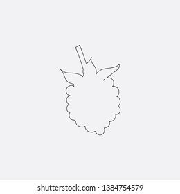 raspberry icon sign signifier vector