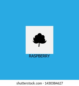 raspberry icon sign signifier vector