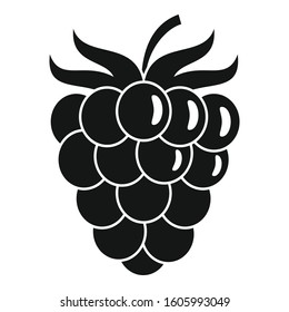 Raspberry icon. Simple illustration of raspberry vector icon for web design isolated on white background