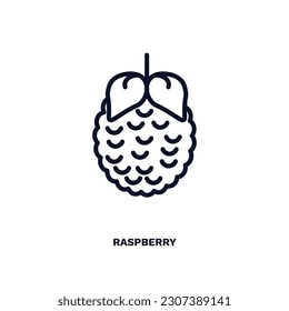 raspberry icon. Thin line raspberry icon from vegetables and fruits collection. Outline vector isolated on white background. Editable raspberry symbol can be used web and mobile