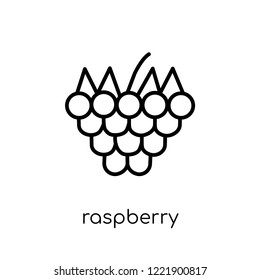raspberry icon. Trendy modern flat linear vector raspberry icon on white background from thin line Fruit and vegetables collection, outline vector illustration
