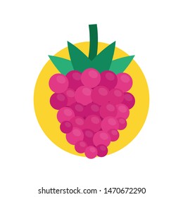 Raspberry icon. Vector flat illustration.