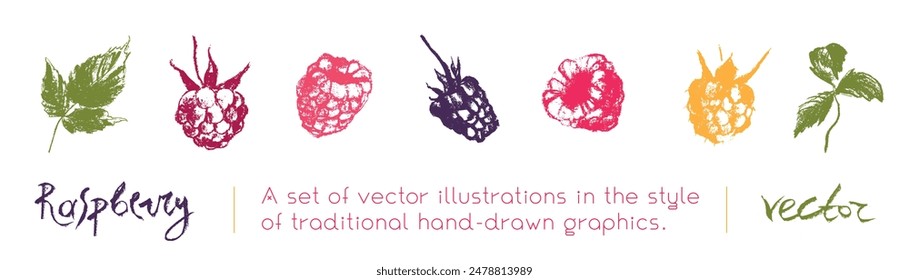 Raspberry icons. Raspberries set of vector symbols. Raspberries logo template and blackberries drawings. Pink berry sketches. Blackberry label. Hand drawn mulberry illustrations.