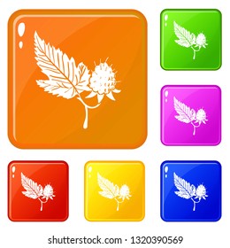 Raspberry icons set collection vector 6 color isolated on white background