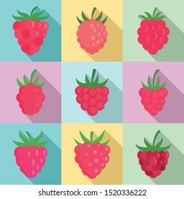 Raspberry icons set. Flat set of raspberry vector icons for web design