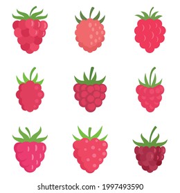 Raspberry icons set. Flat set of raspberry vector icons isolated on white background