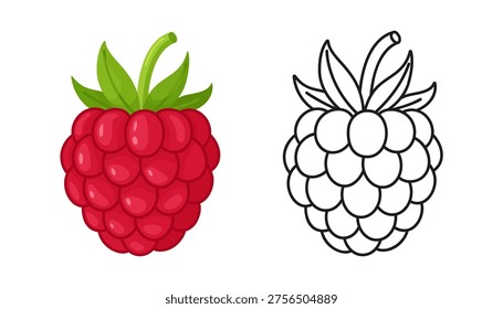 Raspberry illustration with color and outline version in flat vector style, isolated. Ideal for coloring pages, food design, packaging, labels and educational materials. Vector illustration