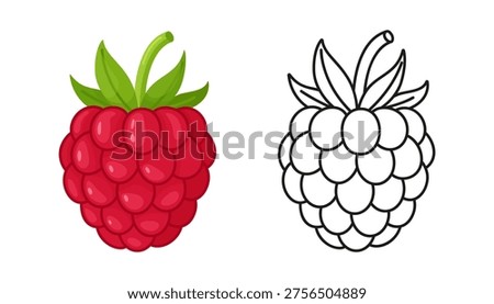 Raspberry illustration with color and outline version in flat vector style, isolated. Ideal for coloring pages, food design, packaging, labels and educational materials. Vector illustration