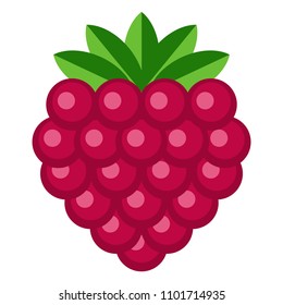 Raspberry Illustration - Raspberry isolated on white background