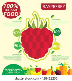 Raspberry. Infographic template. vector illustration.