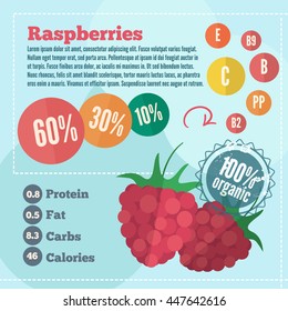 Raspberry infographics in flat style. Vector illustration with vitamins, protein, fat, carbs and calories of organic food.