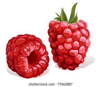 raspberry isolated