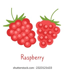 Raspberry isolated hand drawn illustration on a white background. Simple poster and card